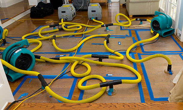 Professional Structural Drying And Dehumidification technician working in Pemberton, MN